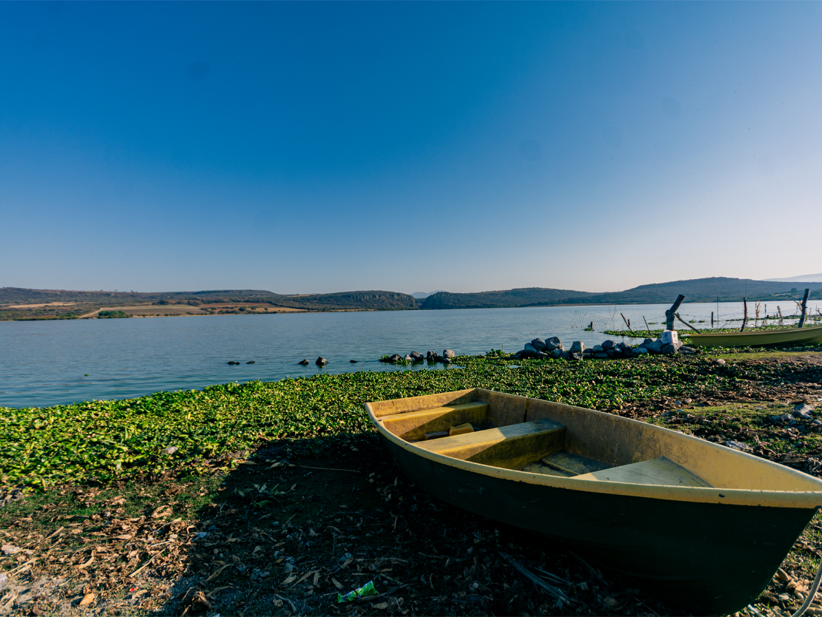 Aventura en Guanajuato
