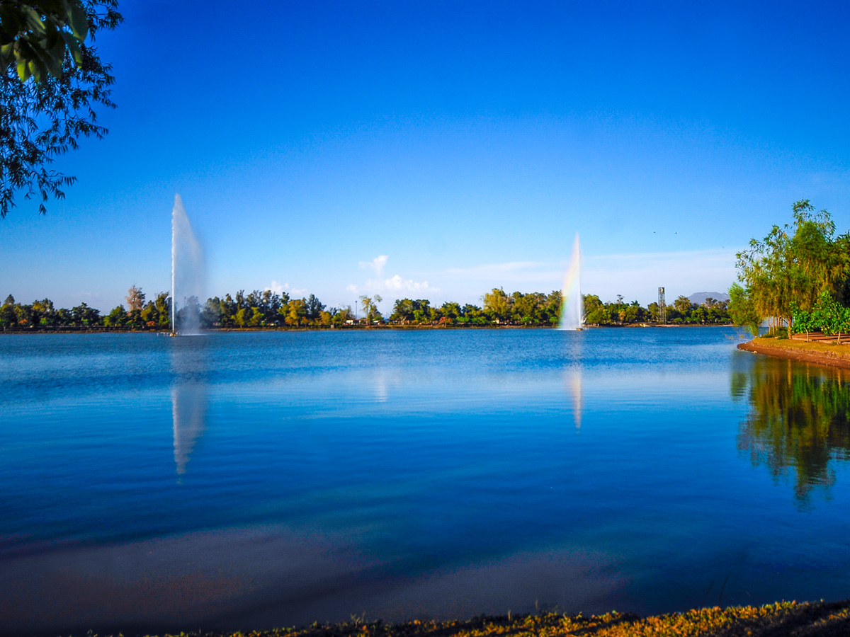 Por los caminos Yaqui