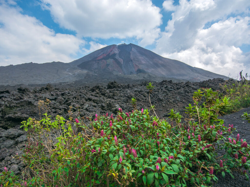 Expedición geológica al volcán Pacaya: ascenso, tectónica y lavas basálticas.